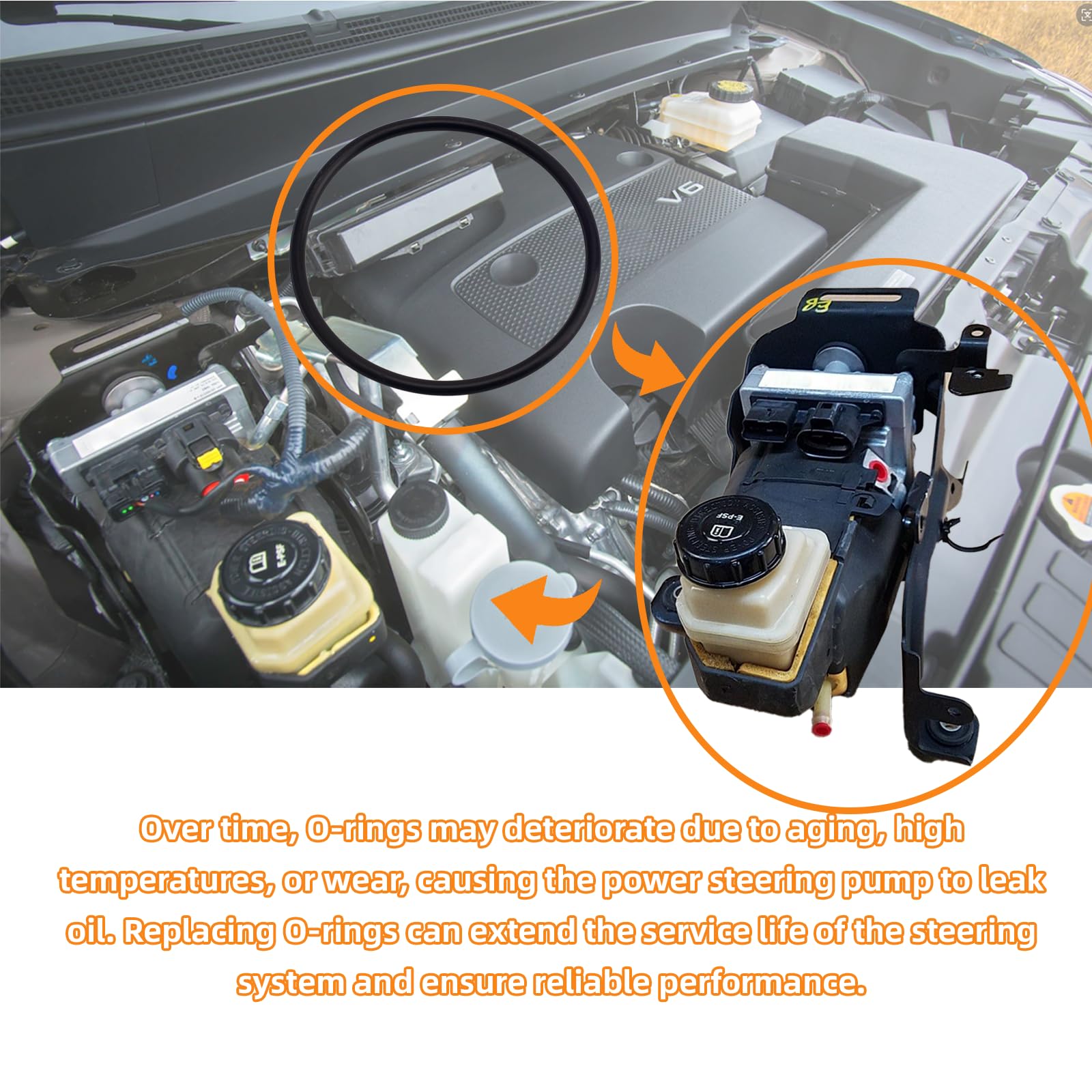 Amazon.com: Power Steering Pump O-Ring Repair Kit for 2013